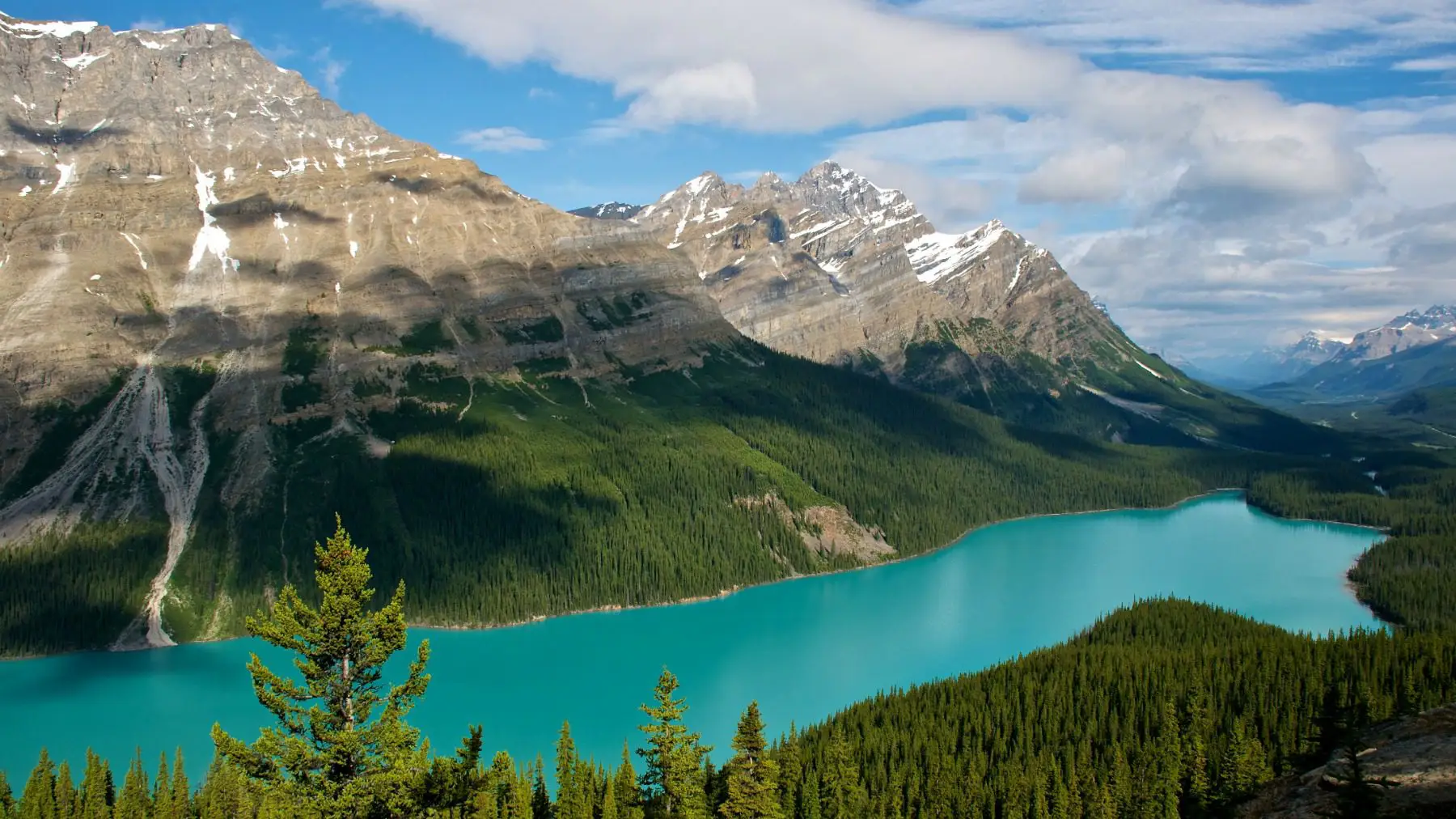 ver el lago peyto en canada