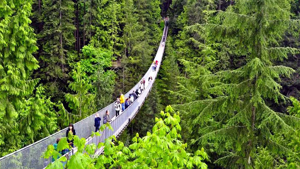 que hacer en canada puente colgante en capilano