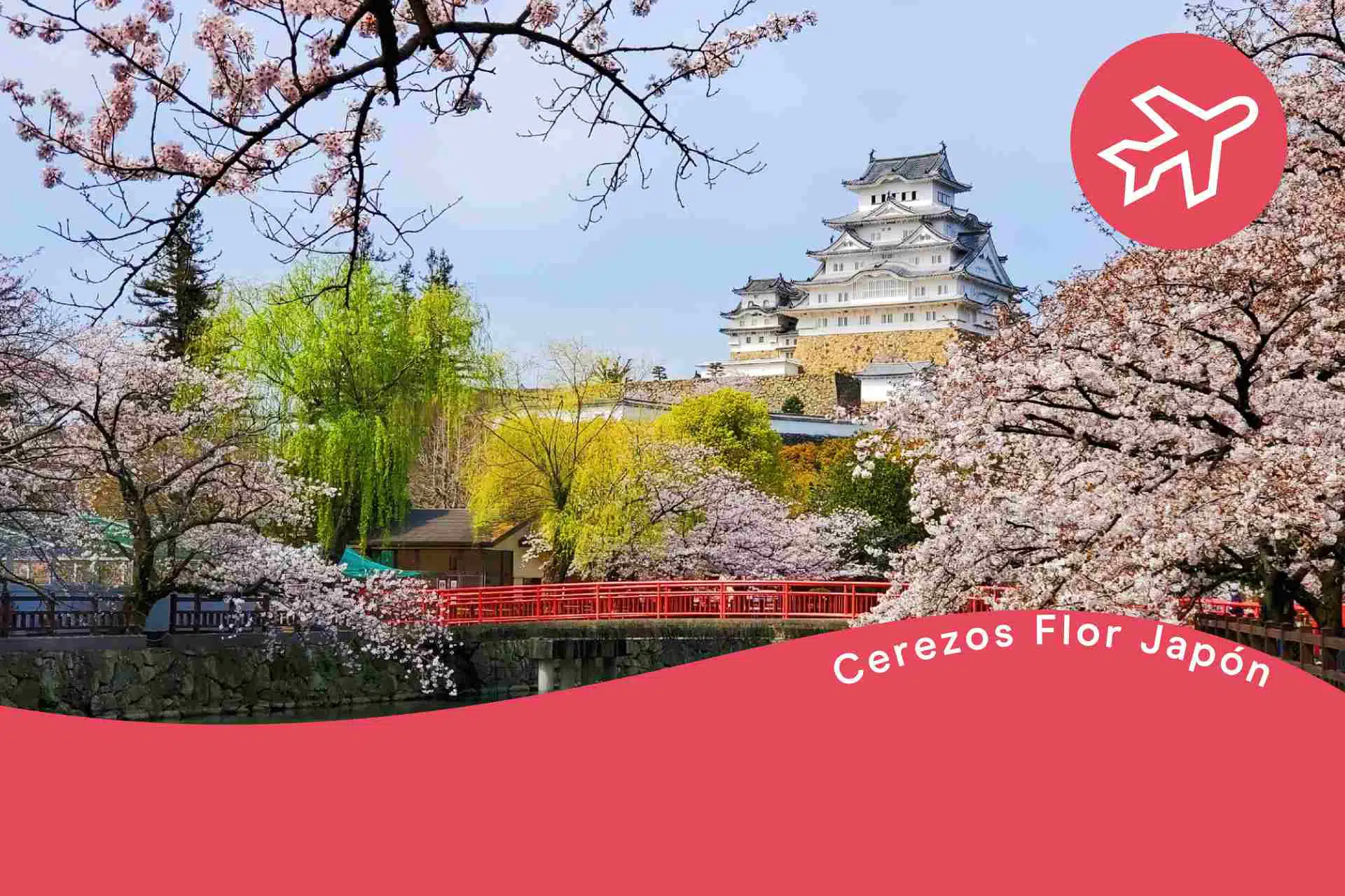 cerezos en Japón