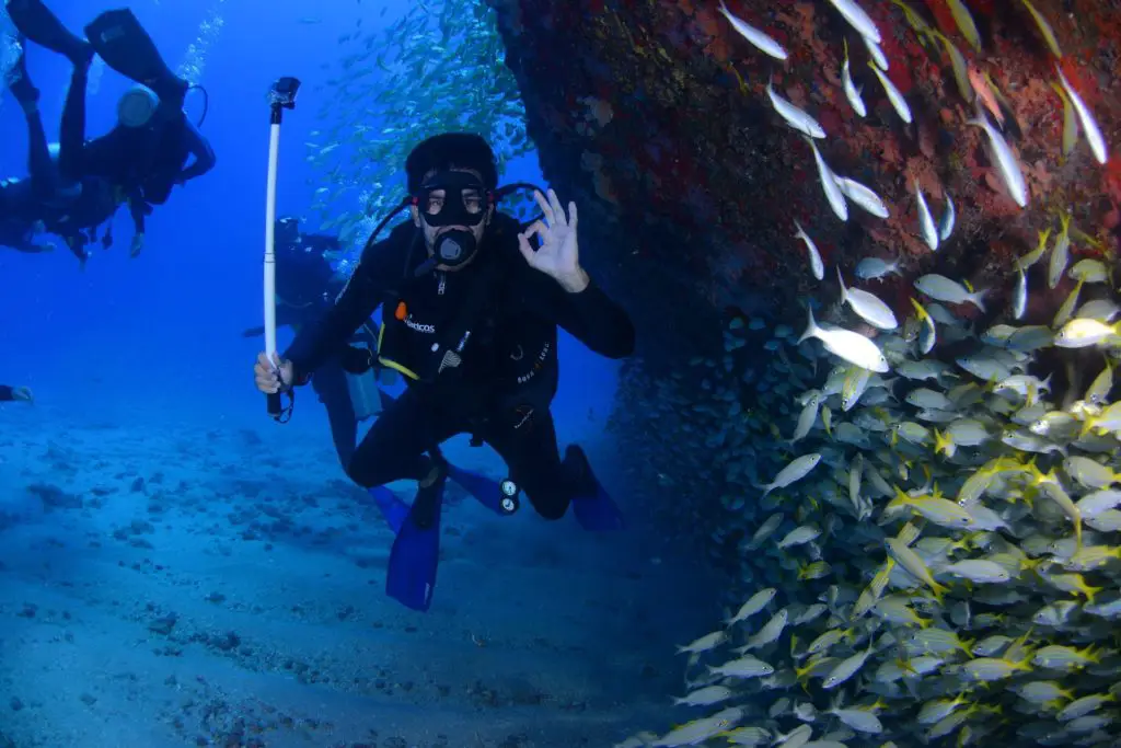 Bucea en la gran barrera de coral cerca a la Isla del Pirata.