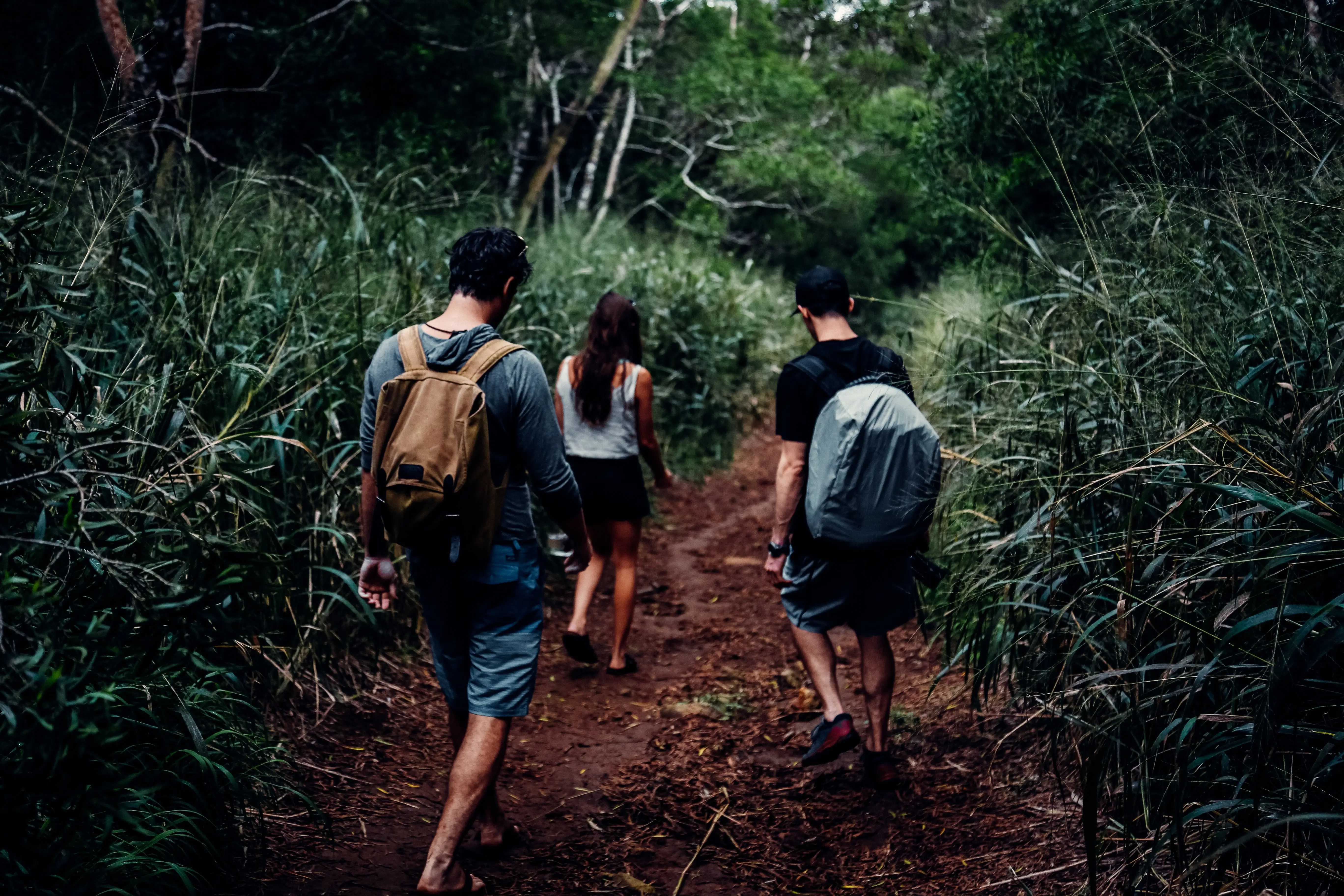 El recorrido será largo pero vale la pena, conocer la Ciudad Perdida.