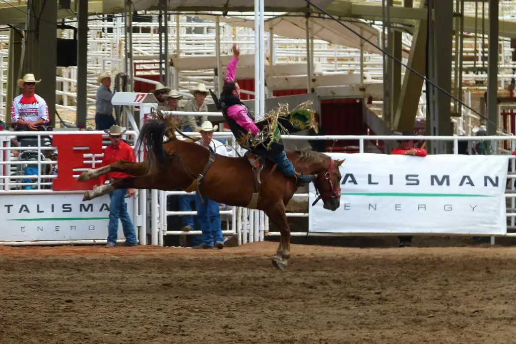 Calgary Stampede Rodeo, ciuades candienses