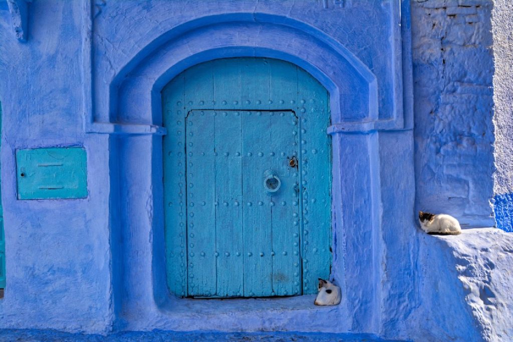 La medina, sus calles azules y gatos, Chefchaouen, Marruecos