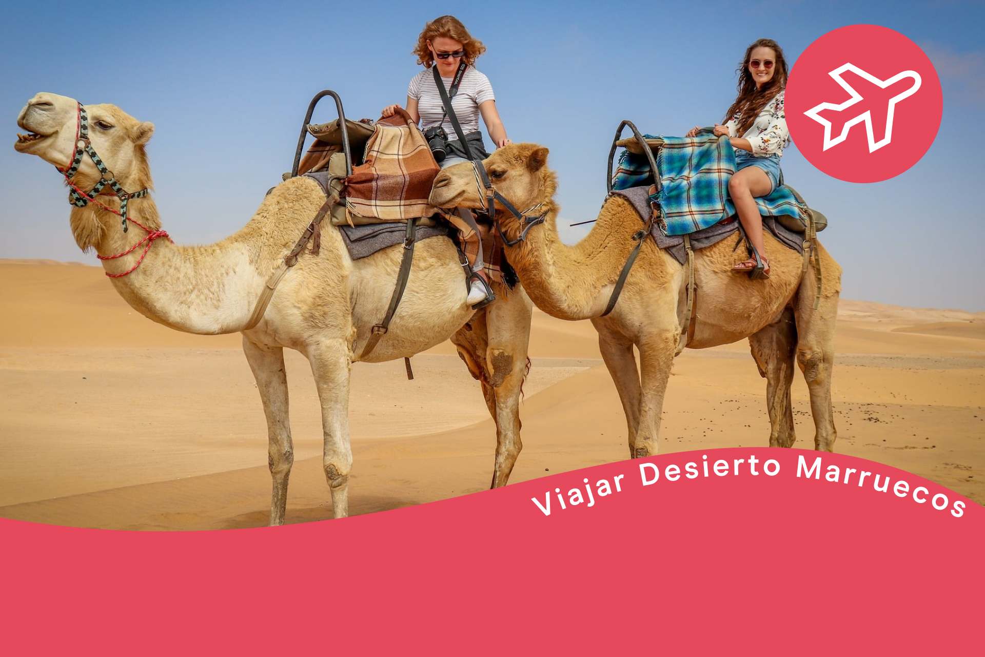 Camellos en desiertos de Marruecos, viajar