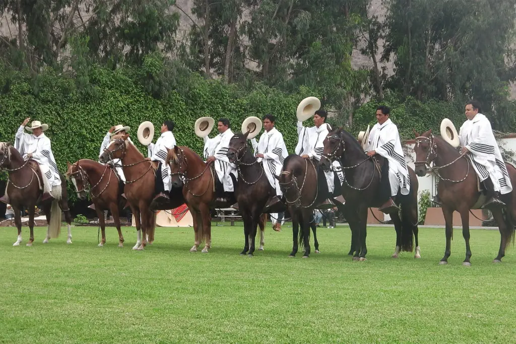 Caballos Peruanos de Paso, qué ver en Perú