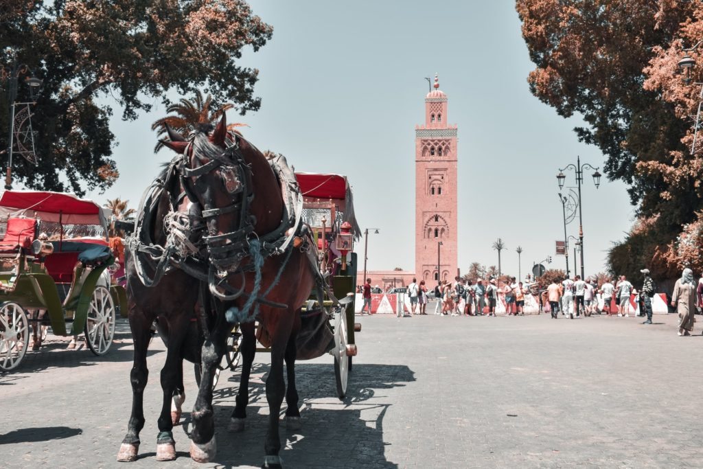 Paseo en Calesa por Marrakech