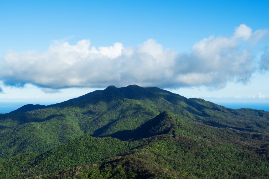 Selva el Yunque, Puerto Rico.