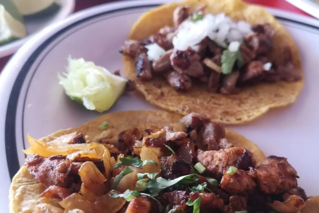 plato tacos carnitas