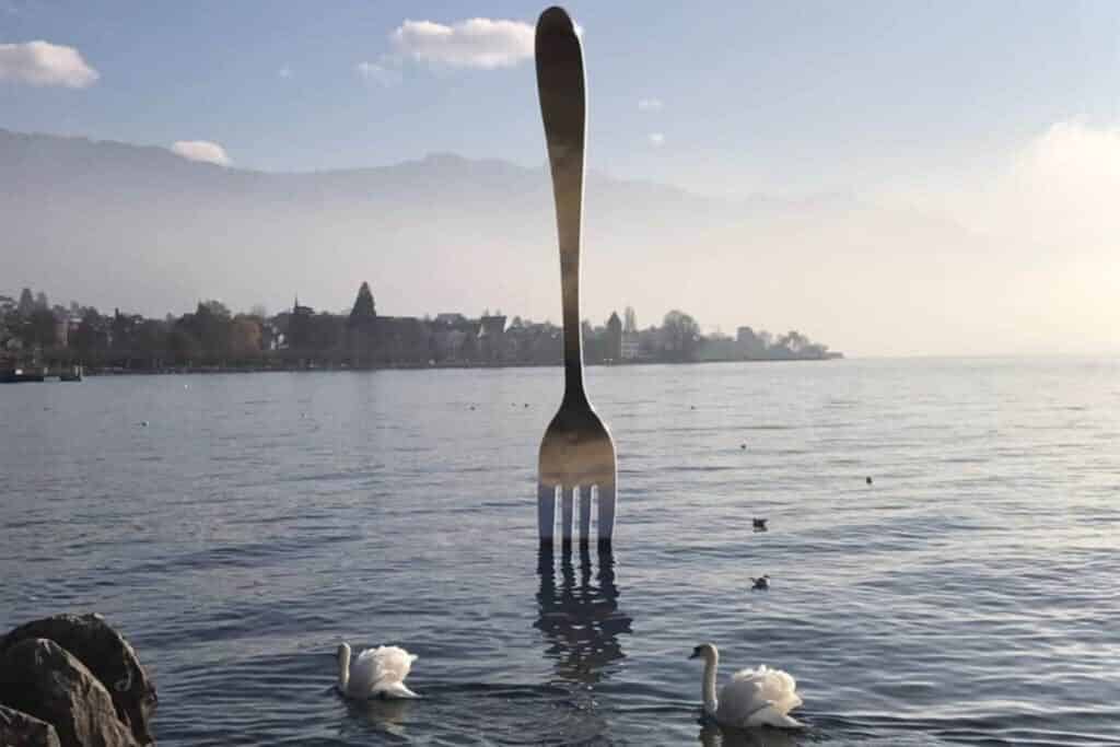Gabel im Genfer  See bei Montreux