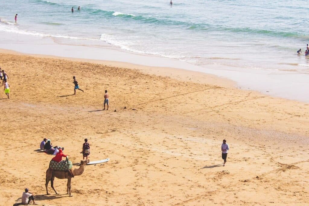 plage au maroc avec des touristes et un chameau